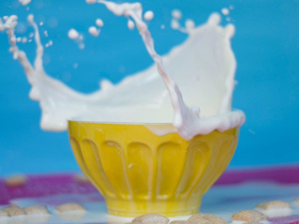 TIL: Camel’s milk might just trump cow’s milk
